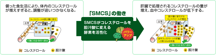 緑でサラナ サンスター 緑でサラナ 160g | 自然食品のお店サンショップ