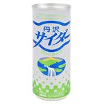 創健社 丹沢サイダー 250ml×30本入