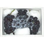 （産地直送）石倉さんのぶどう 限定品 藤稔り（ふじみのり）　2kgギフト箱入り