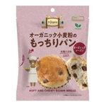 ノースカラーズ オーガニック小麦粉のもっちりパンレーズン 1個