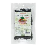 オーサワジャパン ドライブルーベリー 50g