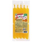 サンコー りんごのドリンク 90ml×5