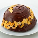 八ヶ岳ナチュレパティスリー リッチガトー・オ・ショコラ 440g（12cm×H7cm）　（冷凍直送）