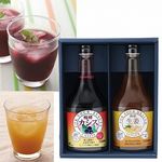 ジャフマック 醗酵カシス＆醗酵生姜 セット