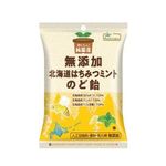 ノースカラーズ 純国産北海道はちみつレモンのど飴 57g