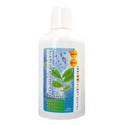 皇漢薬品研究所 ナチュラフレッシュ(マウスウォッシュ) 500ml 皇漢薬品研究所 ナチュラフレッシュ(マウスウォッシュ) 500ml