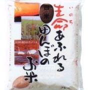 小野寺 特別栽培 生命あふれる田んぼのお米(ひとめぼれ 玄米) 4kg 小野寺 特別栽培 生命あふれる田んぼのお米(ひとめぼれ 玄米) 4kg