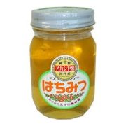 五十川養蜂園 国産はちみつ アカシヤ 500g 五十川養蜂園 国産はちみつ アカシヤ 500g