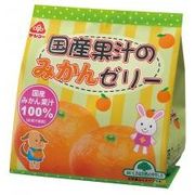 サンコー 国産果汁のみかんゼリー 22g×6