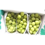 (産地直送)石倉さんのぶどう 限定品 シャイン マスカット 2kgギフト箱入り (産地直送)石倉さんのぶどう 限定品 シャイン マスカット 2kgギフト箱入り