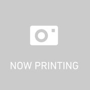 KOMO 家庭用穀物製粉機 Fidibus21(フィディブス21)用バネ 2個セット KOMO 家庭用穀物製粉機 Fidibus21(フィディブス21)用バネ 2個セット