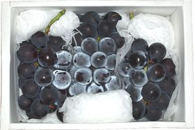 （産地直送）石倉さんのぶどう 限定品 藤稔り（ふじみのり）　2kgギフト箱入り
