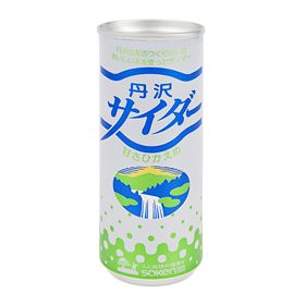 創健社 丹沢サイダー 250ml×30本入