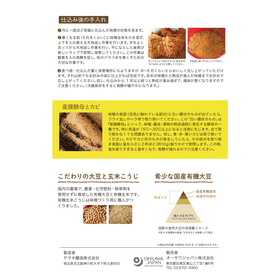 オーサワジャパン オーサワの手づくり玄米味噌セット(コク旨) 1セット(煮大豆・麹・塩)