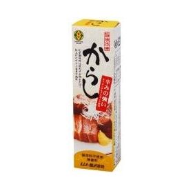 ムソー 旨味本来・からし ４０ｇ