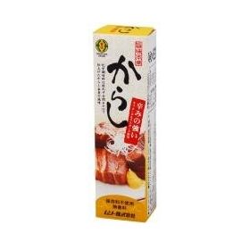 ムソー 旨味本来・からし ４０ｇ