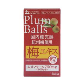 創健社 国内産完熟紀州梅使用梅エキス粒 90ｇ