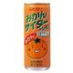 ヒカリ 有機みかんサイダー(微炭酸)250ml ヒカリ 有機みかんサイダー(微炭酸)250ml
