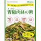 オーサワジャパン オーサワ青椒肉絲の素 100g オーサワジャパン オーサワ青椒肉絲の素 100g