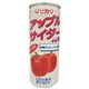 ヒカリ アップルサイダー+レモン 250ml ヒカリ アップルサイダー+レモン 250ml